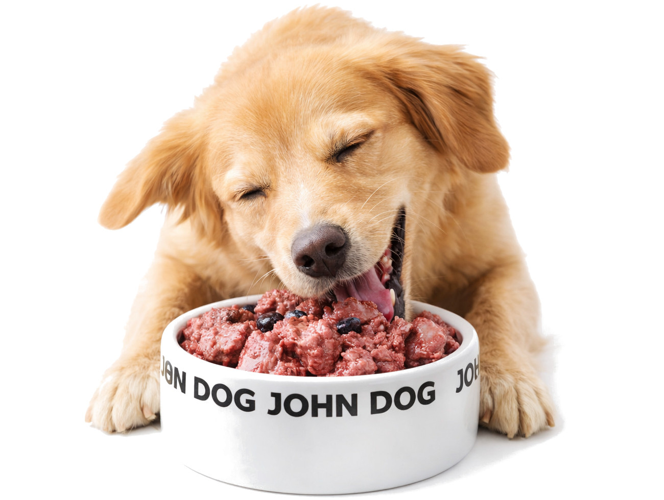 JOHN DOG Berry Line Adult Beef with blueberries - Nassfutter für Hunde - 400g - foto 4