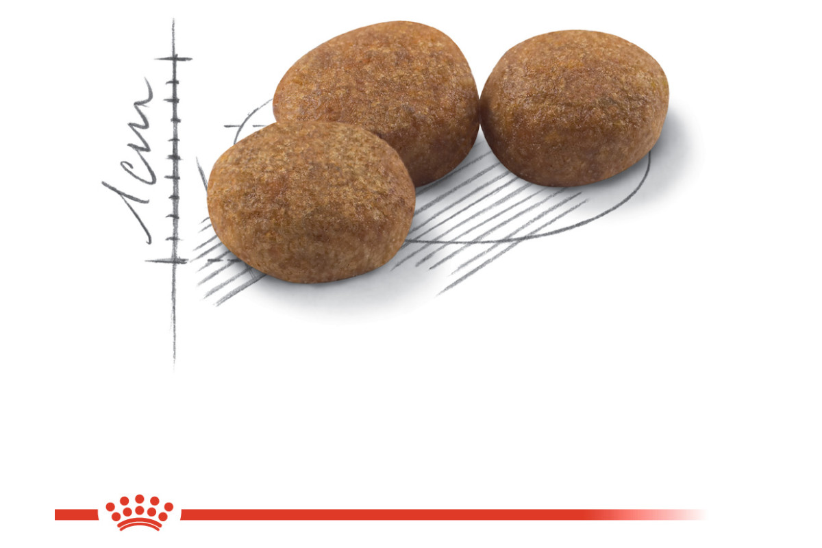 ROYAL CANIN Sterilised - Trockenfutter für Katzen - 4 kg - foto 3