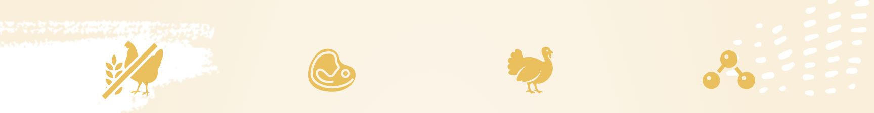 EUPHORIA Fresh Adult Monoprotein Turkey XS/S - trockenfutter für Hunde - 500g - foto 1