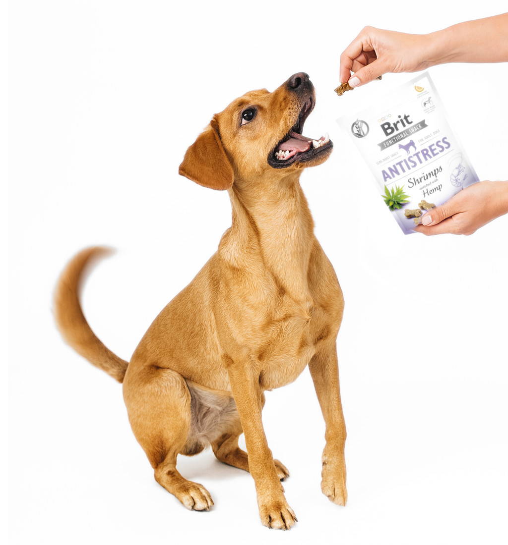 BRIT Care Functional Snack Antistress Shrimps - leckerli für hunde - 150g - foto 3