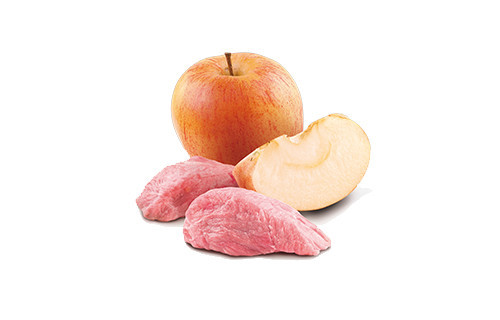 FARMINA N&D CAT PRIME BOAR & APPLE 70g - foto 3