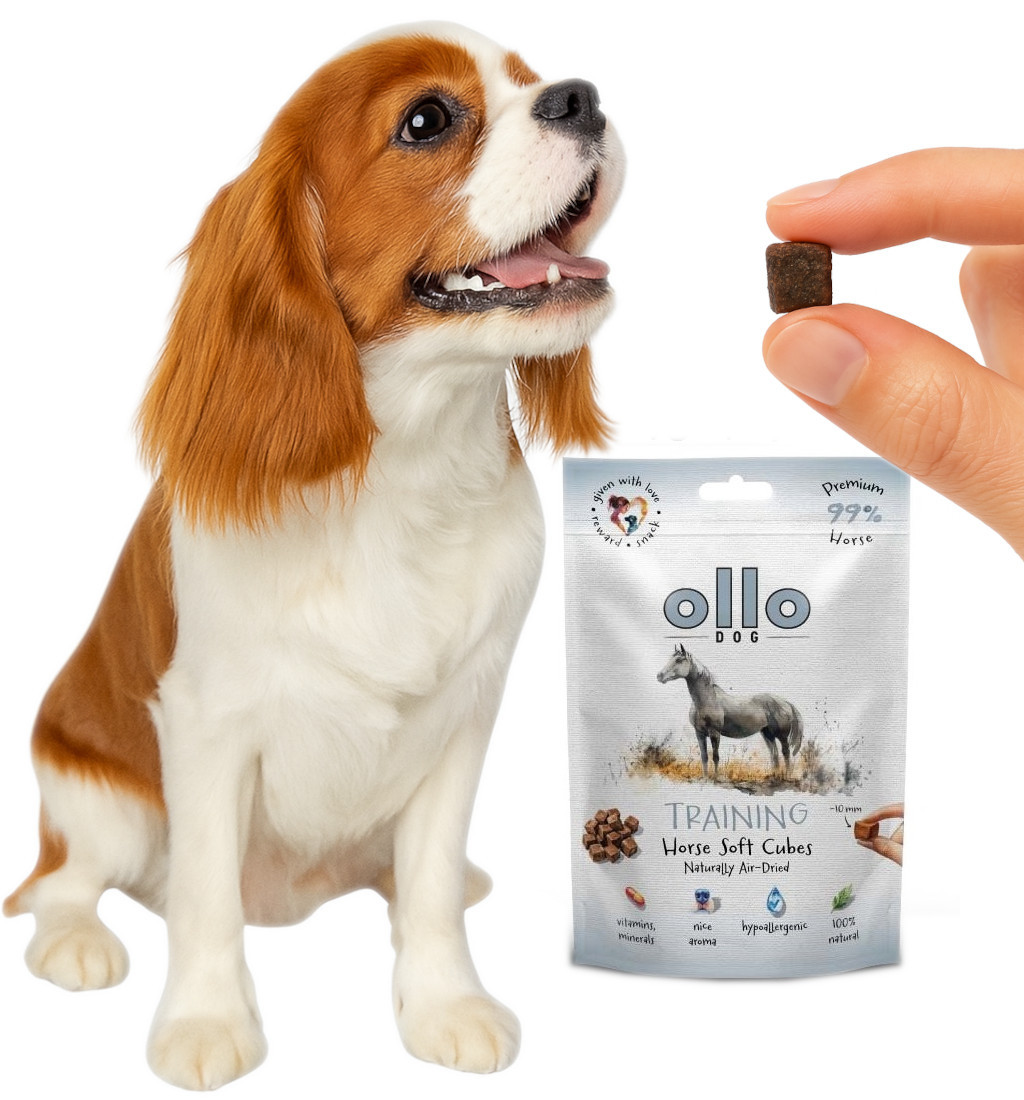 OLLO Air Dried Training Horse Cubes - leckerli für hunde - 80g - foto 4