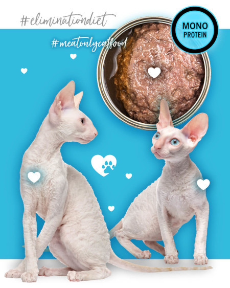 3COTY Duck - nassfutter für Katzen - 80g - foto 5