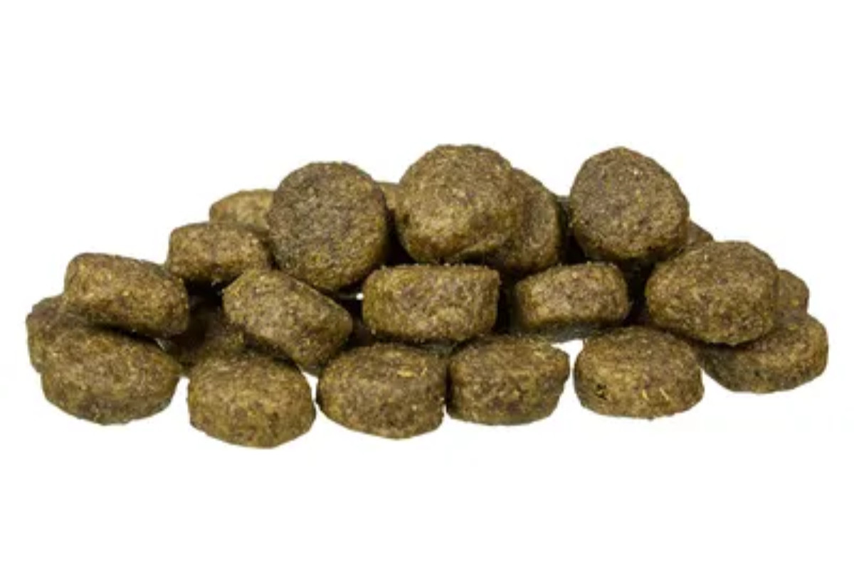 BOSCH Sensitive Lamb & Rice – Futter für Hunde mit empfindlichem Magen mit Lamm und Reis – 15 kg - foto 2