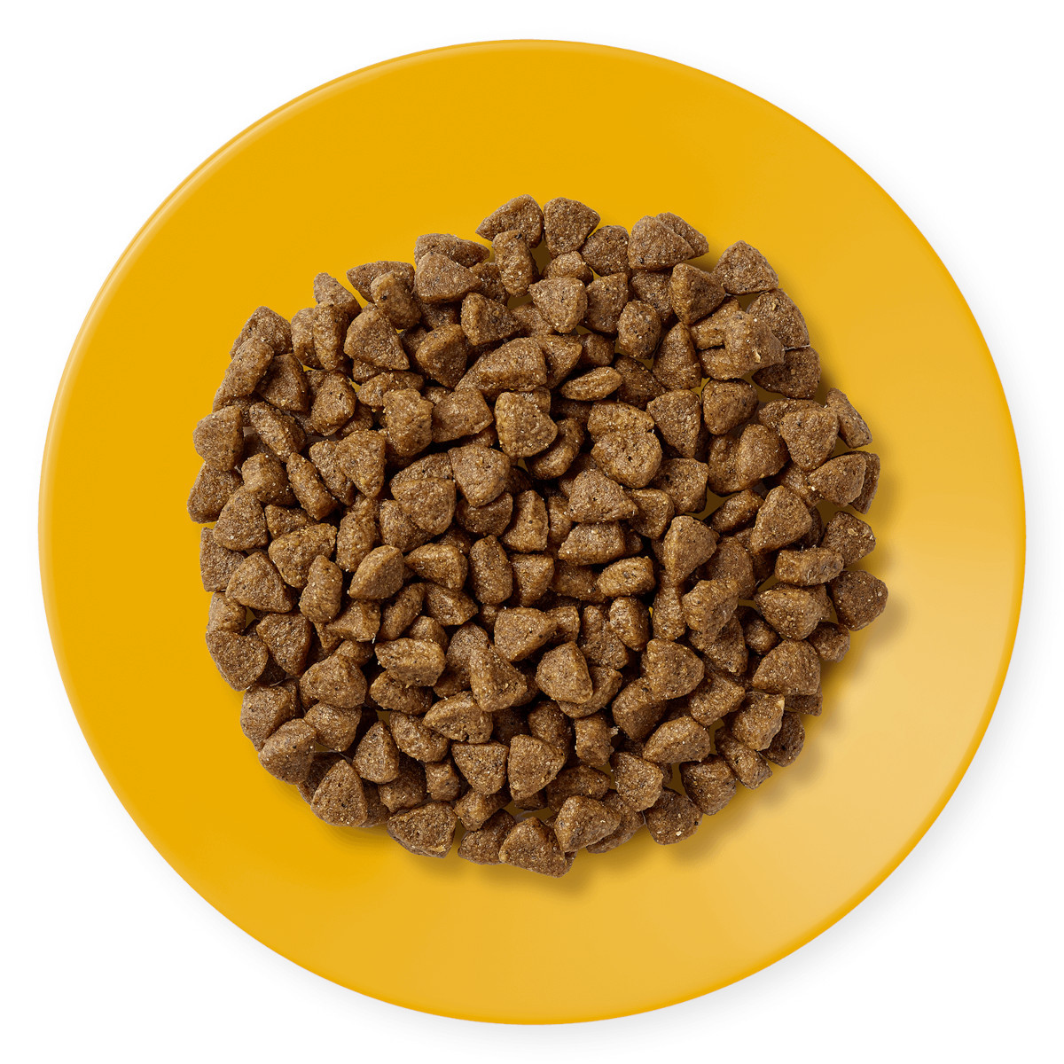 APPLAWS Kitten Chicken - trockenfutter für Katzen - 400g - foto 2