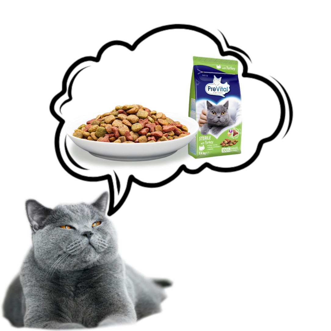 PREVITAL Sterile Turkey - trockenfutter für Katzen - 1,4kg - foto 6