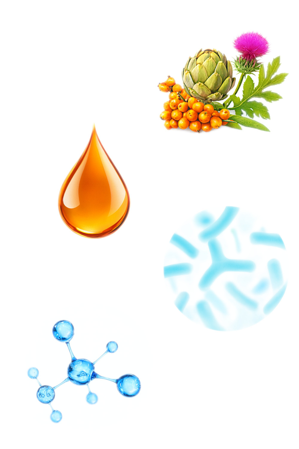 EUPHORIA Fresh Adult Monoprotein Turkey XS/S - trockenfutter für Hunde - 500g - foto 5