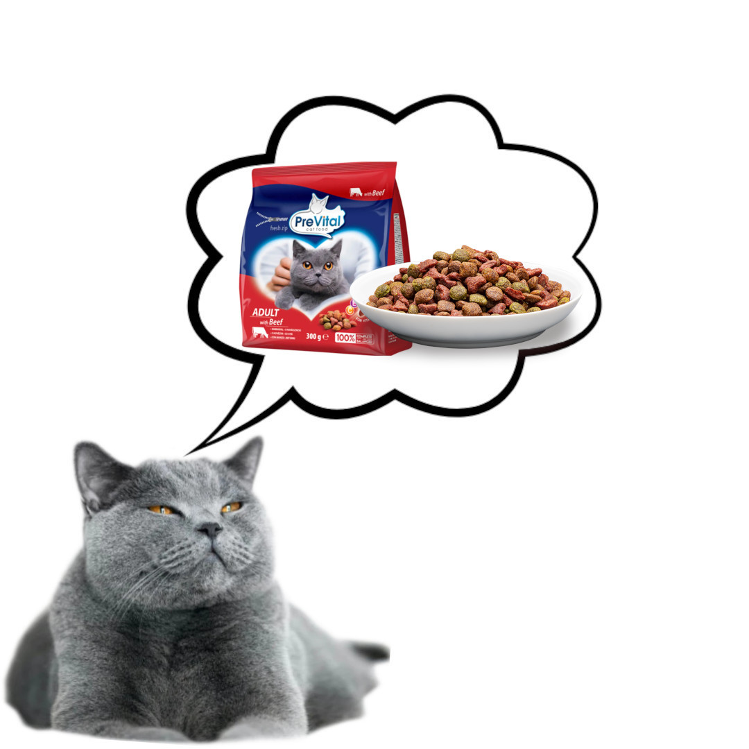 PREVITAL Adult Beef - trockenfutter für Katzen - 300g - foto 5
