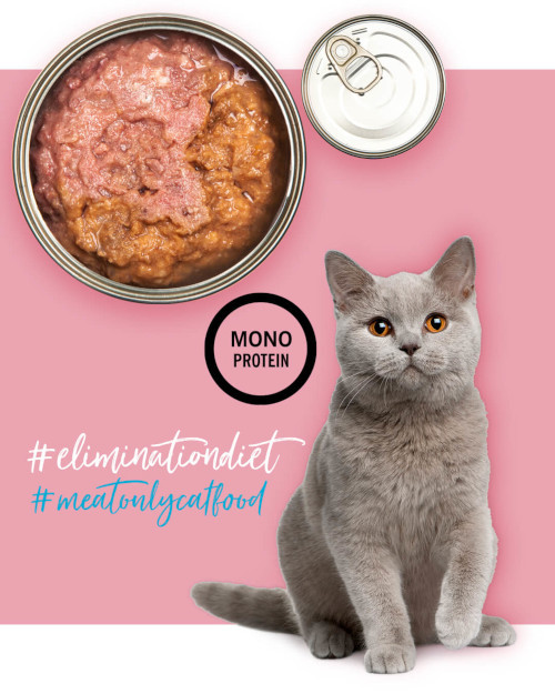 3COTY Turkey - nassfutter für Katzen - 80g - foto 5