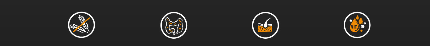 BIOFEED Tasty Dogs Life Duck - Nassfutter für Hunde - 500g - foto 1