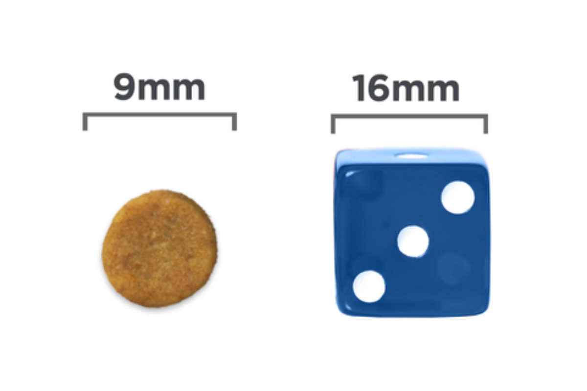 Hill's Prescription Diet Feline k/d Kidney Care – Trockenfutter für Katzen mit Nierenerkrankungen – 3kg - foto 3