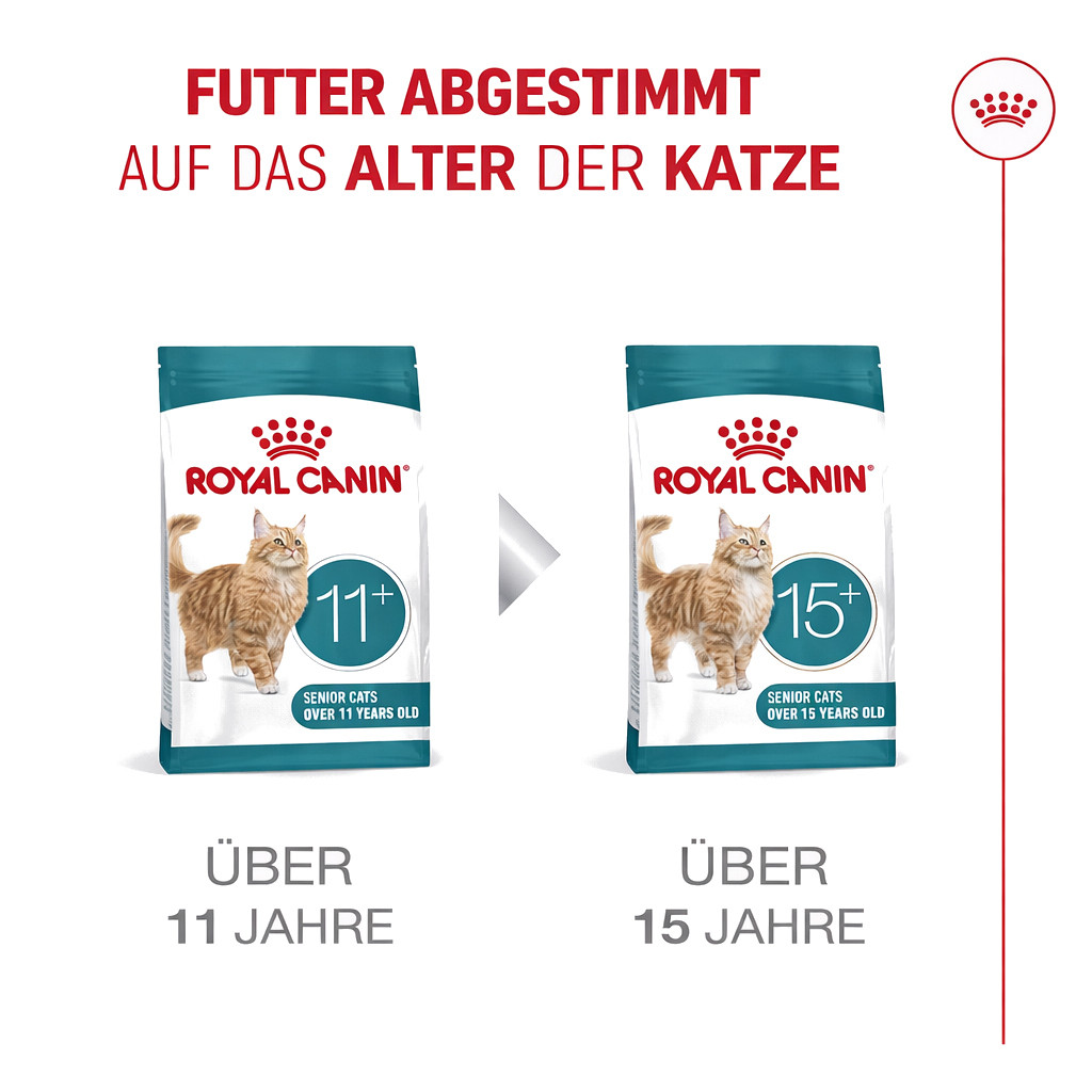 ROYAL CANIN Ageing 11+ - trockenfutter für Katzen - 4kg - foto 8