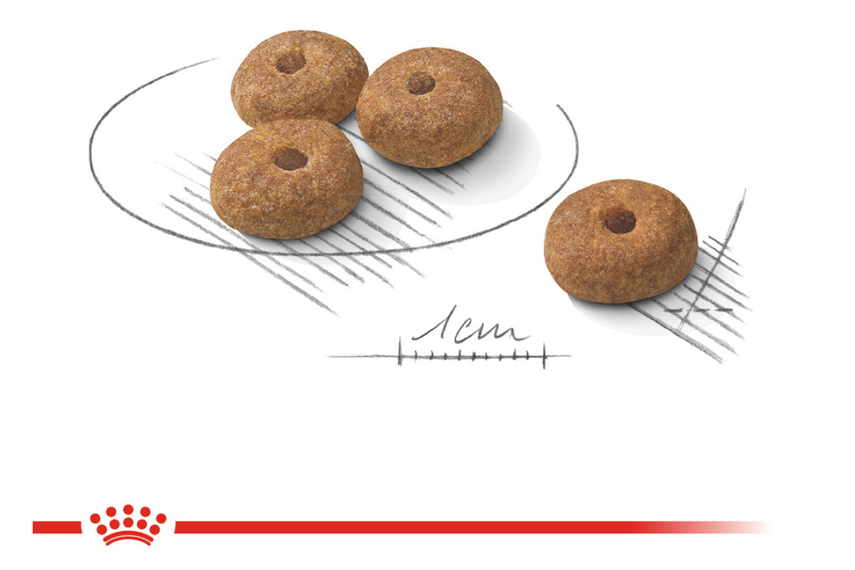 Royal Canin CCN MINI STERILISED - Trockenfutter für ausgewachsene Hunde - 3kg - foto 2