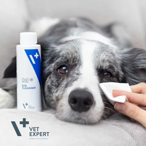 VET EXPERT Eye Cleanser – Augenpflegeflüssigkeit für Hunde und Katzen – 100 ml - foto 1