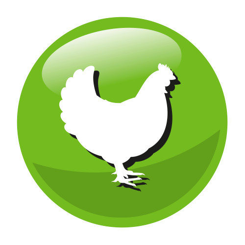 PREVITAL Sterile Kissen reich an Huhn mit Tomatenfüllung - Katzensnack 60g - foto 1