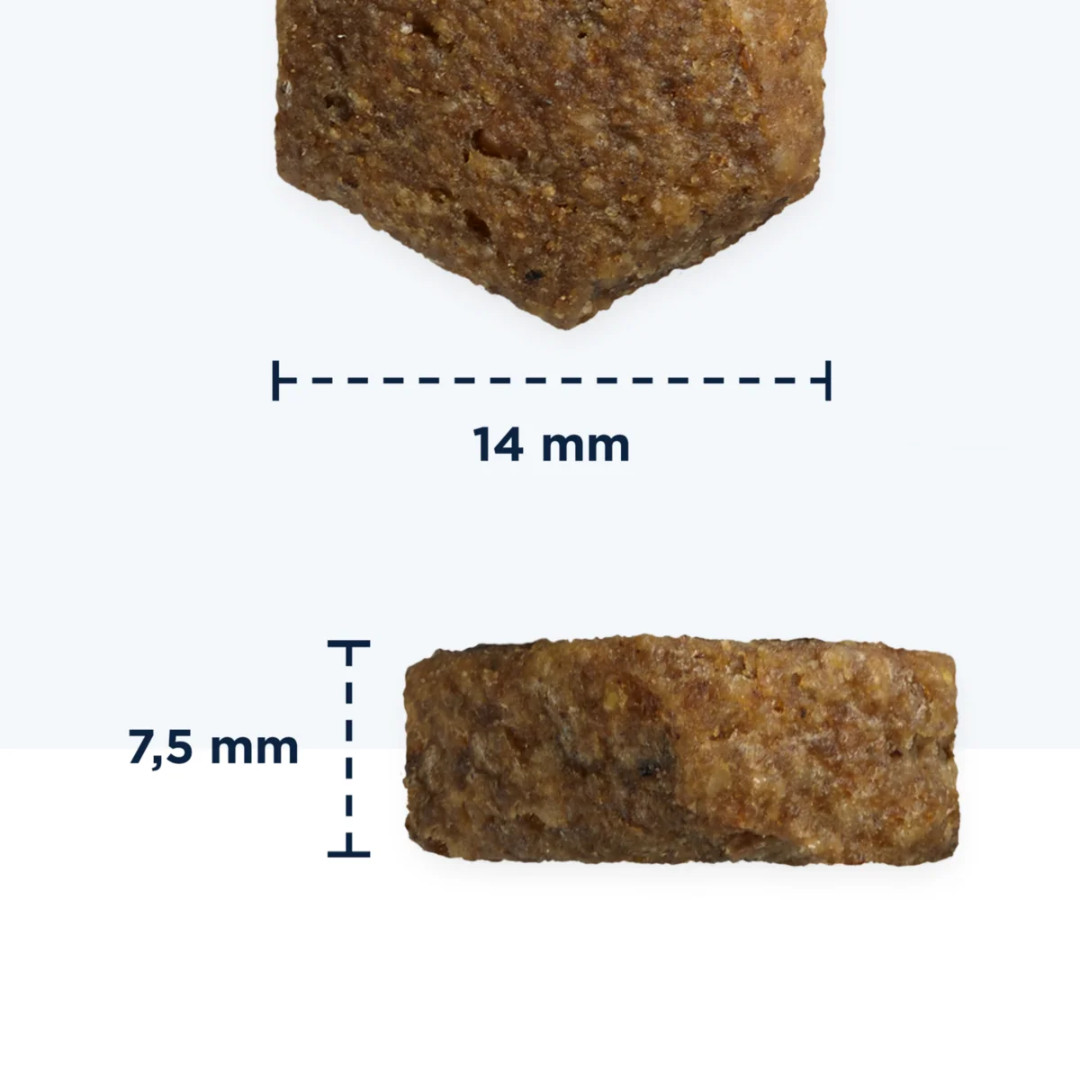 EUKANUBA Veterinary Diets Dermatosis FP Fisch & Kartoffel – Trockenfutter für Hunde – 12kg - foto 3