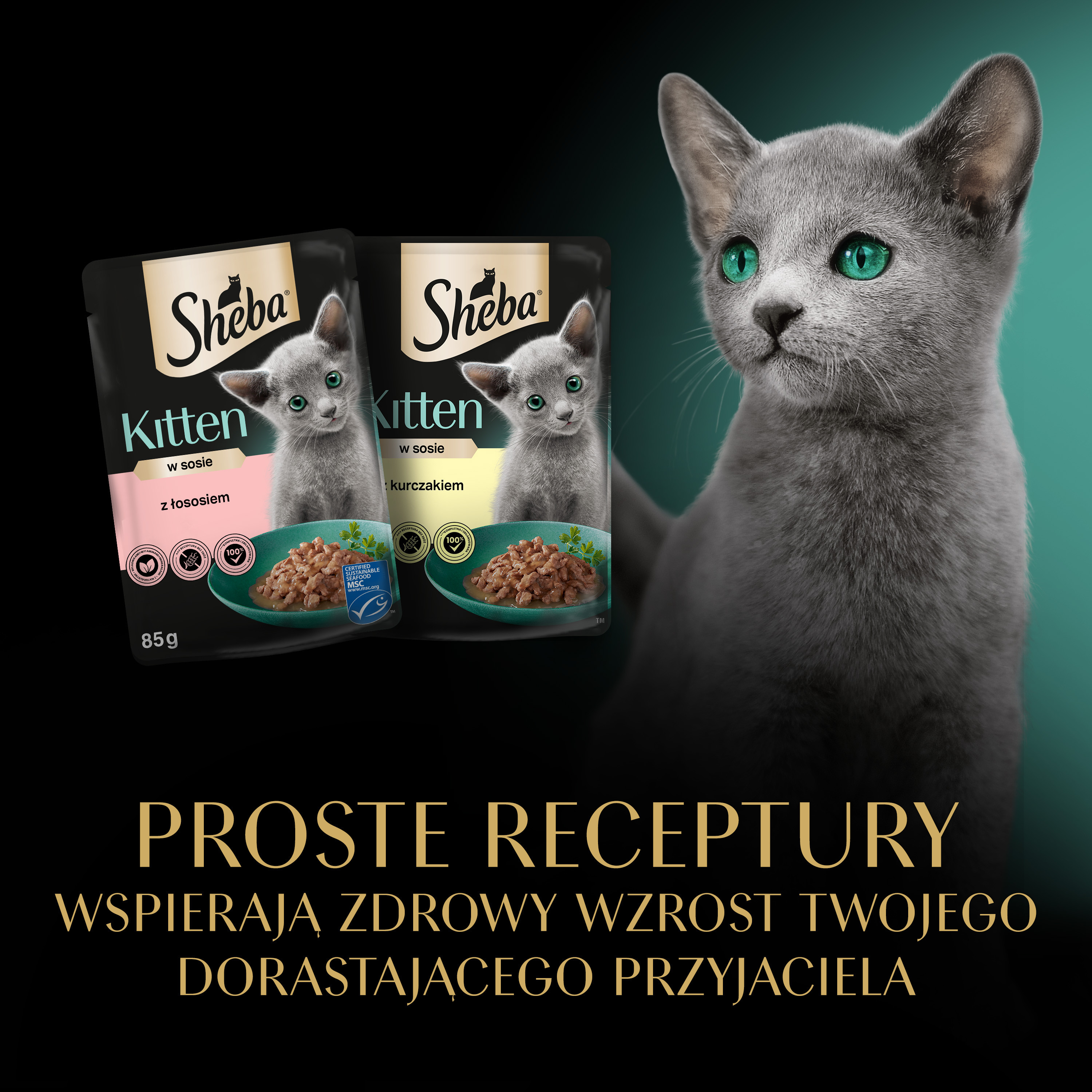 SHEBA Kitten Selection of Flavours in Sauce - Nassfutter für Katzen - 40x85 g - foto 3