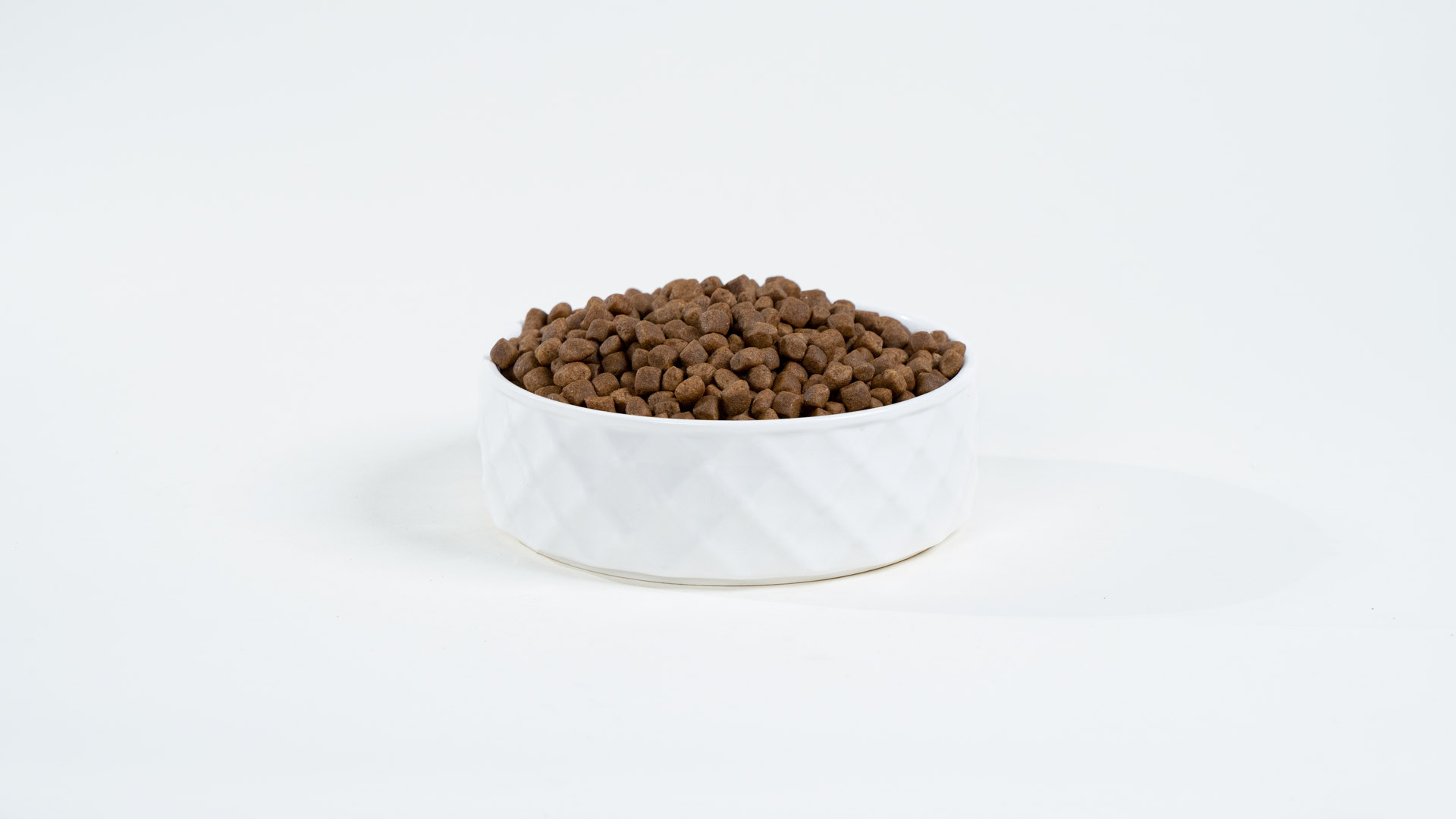 BULT Salmon with trout - trockenfutter für Hunde - 2x12kg - foto 3