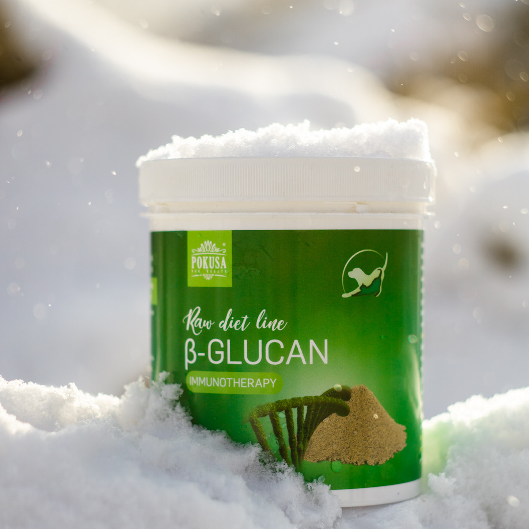 POKUSA RawDietLine Beta-Glucan - nahrungsergänzungsmittel für hunde und katzen - 250g - foto 4