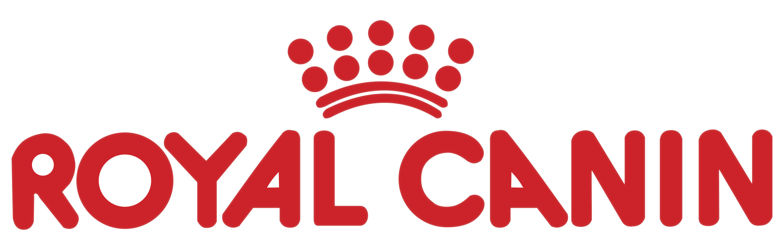 ROYAL CANIN Anallergenic Small VHN - trockenfutter für Hunde - 1,5kg - foto 1