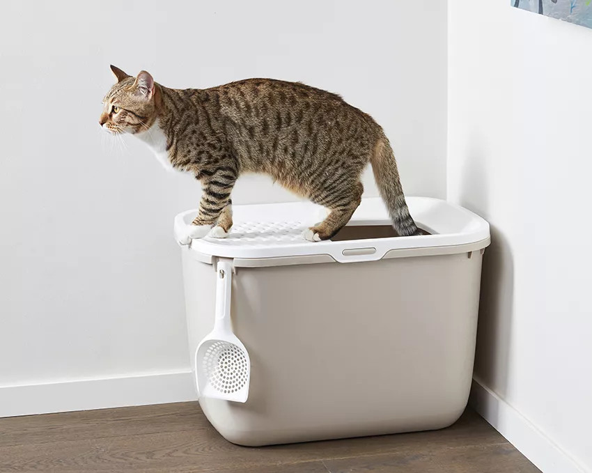 SAVIC HOP Kaffeebraun mit Weißem Deckel – Katzentoilette – 58,5x39x39,5 cm – 1 Stk. - foto 4