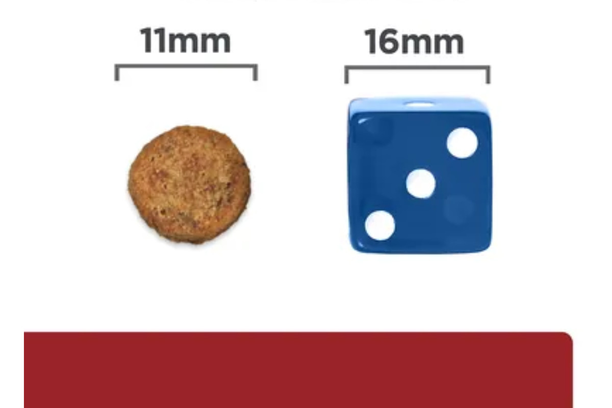 HILL'S PD Canine Digestive Care i/d - Trockenfutter für Hunde - 4 kg - foto 3