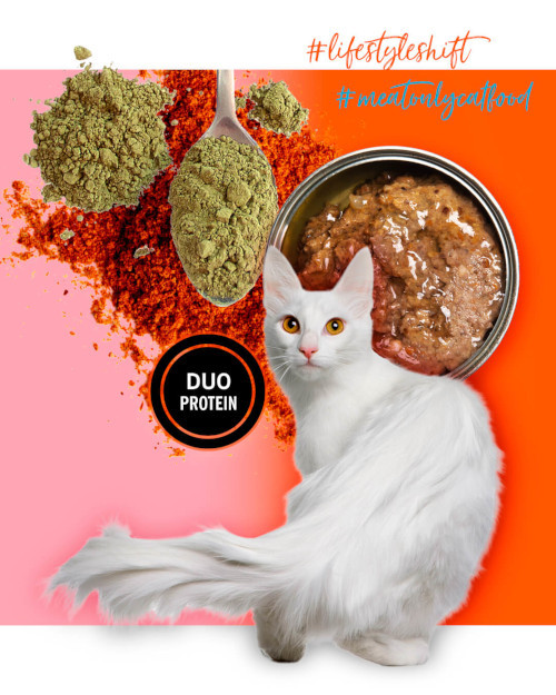 3COTY Turkey with krill Coat support - nassfutter für Katzen - 80g - foto 5