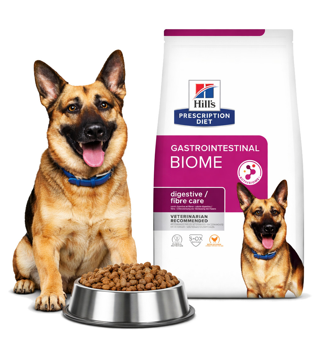 HILL'S Prescription Diet Gastrointestinal Biome mit Huhn – Trockenfutter für Hunde – 10 kg - foto 4