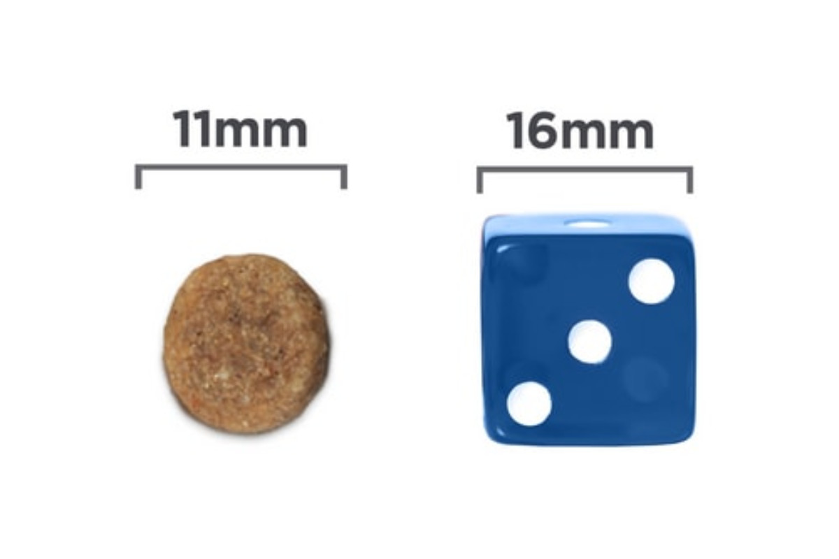 HILL'S Prescription Diet Kidney Care Canine k/d - Hunde-Trockenfutter - 12kg - foto 3