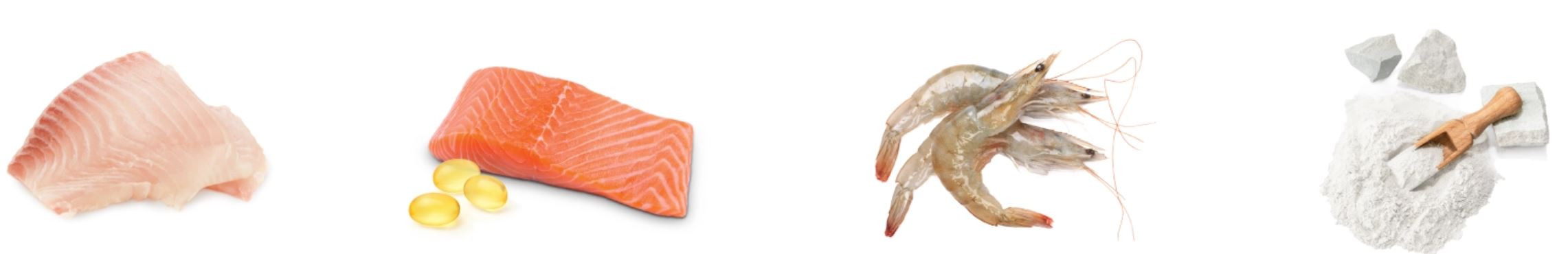 NATURE'S PROTECTION Superior care White Fish Small and mini - trockenfutter für Hunde - 4kg - foto 1