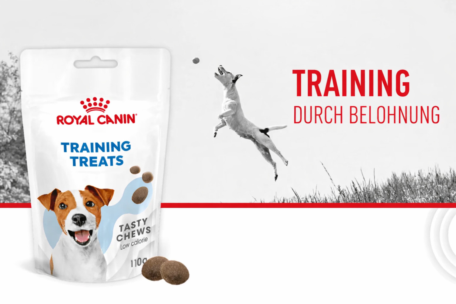 ROYAL CANIN Training Treats – Belohnungsleckerlis für Hunde zur Unterstützung des Trainings - 110 g - foto 1