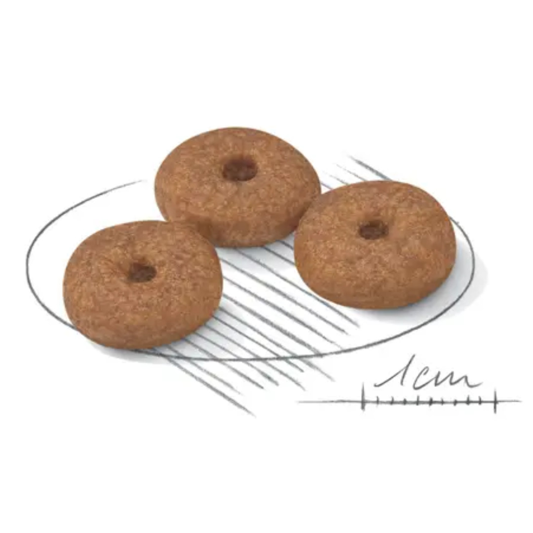 ROYAL CANIN Mini Ageing Adult +12 - Trockenfutter für Hunde - 3,5 kg - foto 2