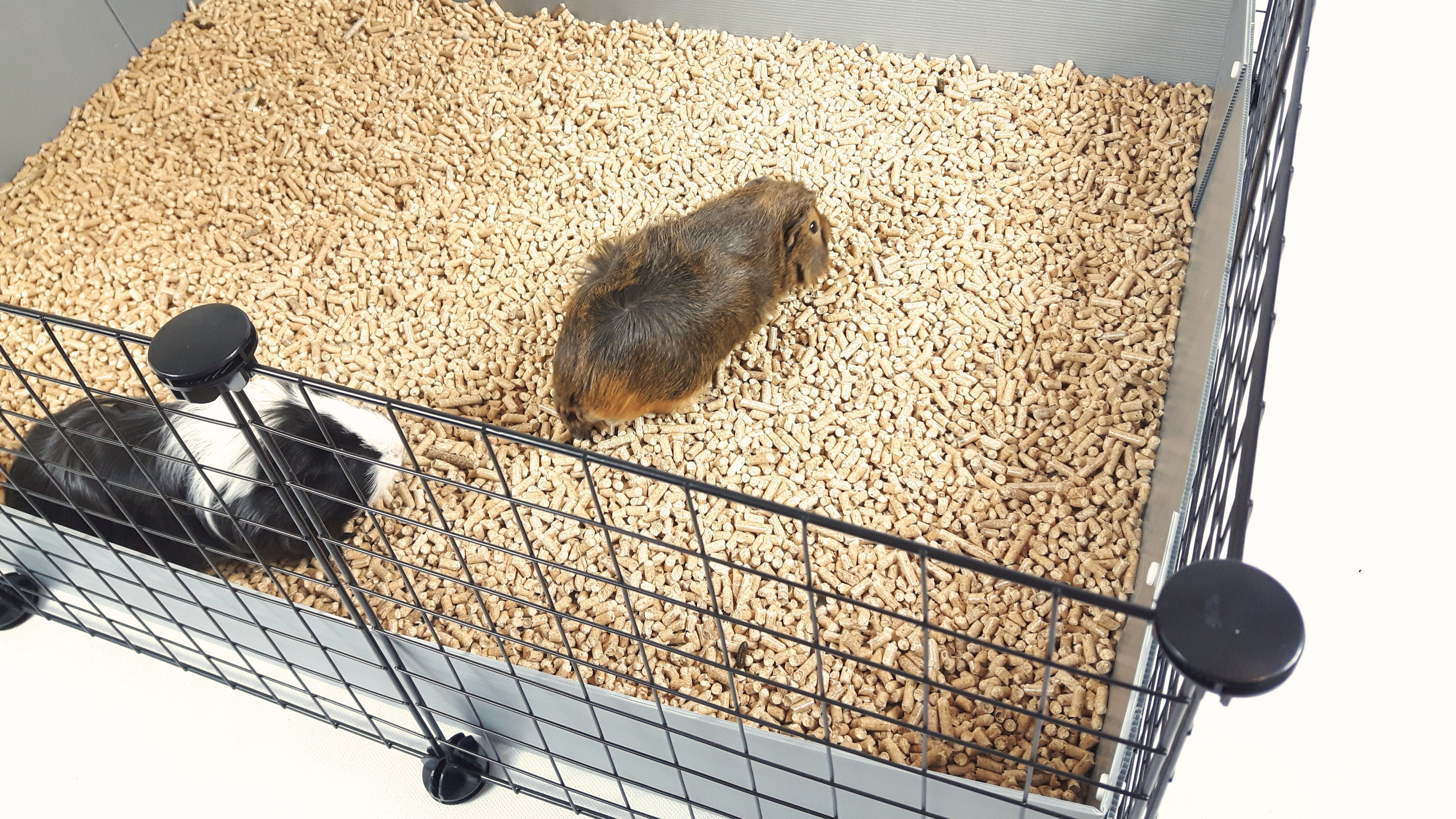 C&C Modular Käfig 3x2 110x75 cm Meerschweinchen, Igel, silbergrau - foto 2