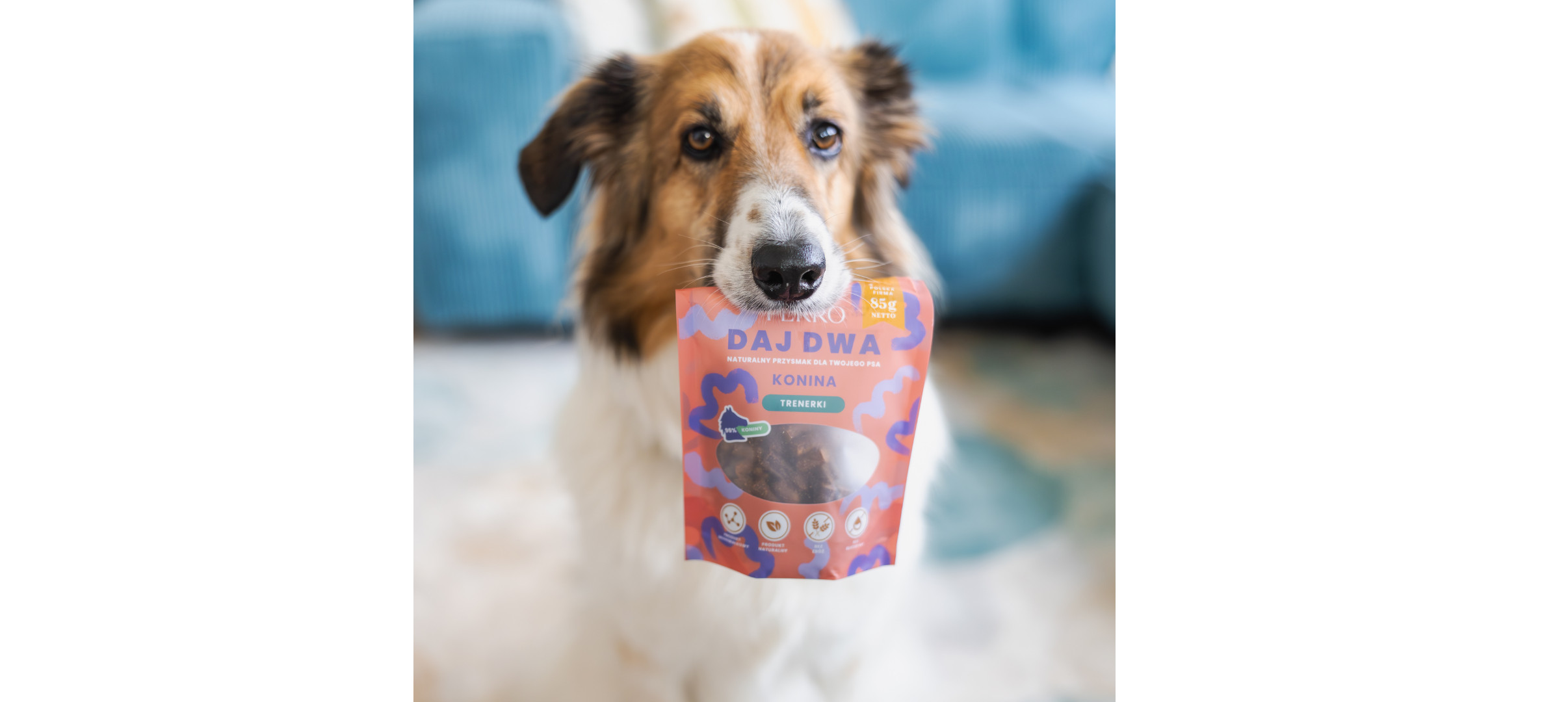 PERRO Daj Dwa Horse - leckerli für hunde - 85g - foto 1
