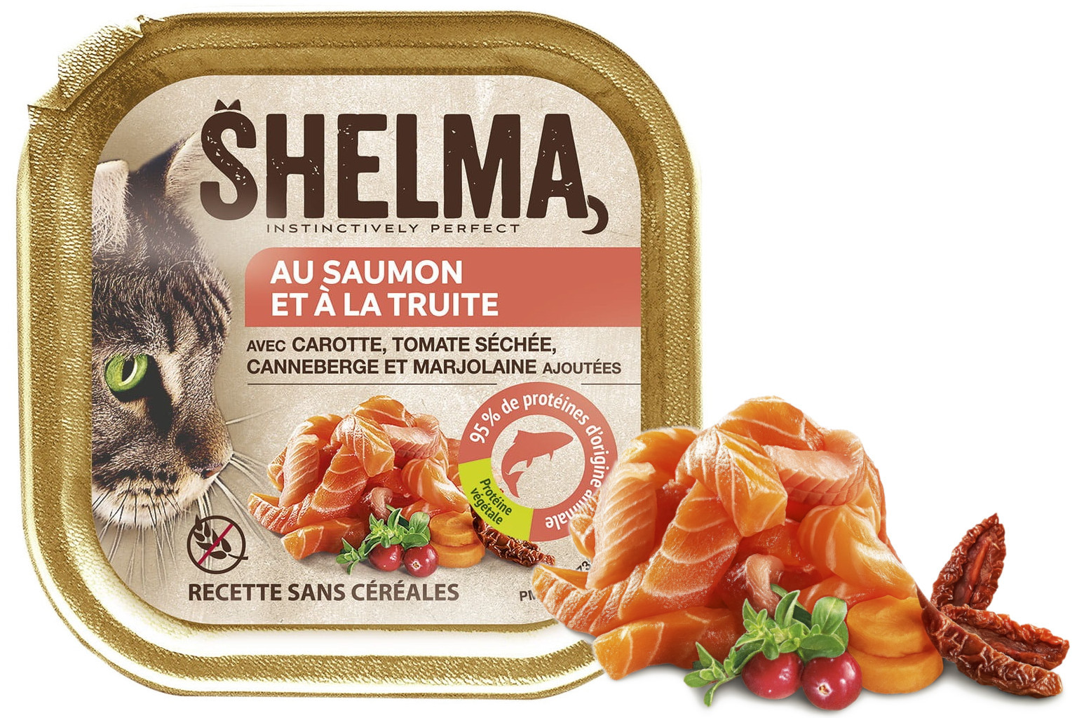 SHELMA Salmon and trout pate - nassfutter für Katzen - 12x100g - foto 3