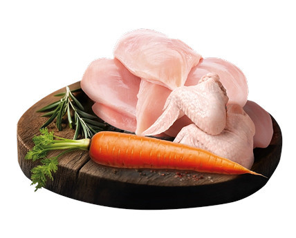 BIOFEED Tasty Dogs Life Poultry - Nassfutter für Hunde - 500g - foto 3