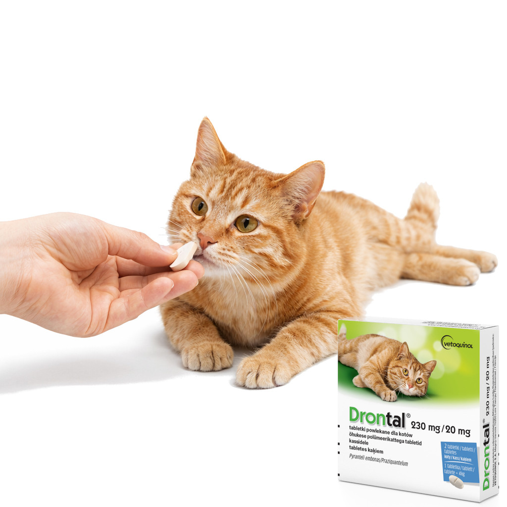 VETOQUINOL Drontal - Antiparasitentabletten für Katzen - 2 Stk. - foto 3