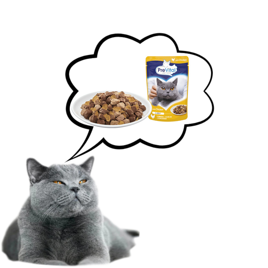 PREVITAL Chicken in jelly - nassfutter für Katzen - 100g - foto 2