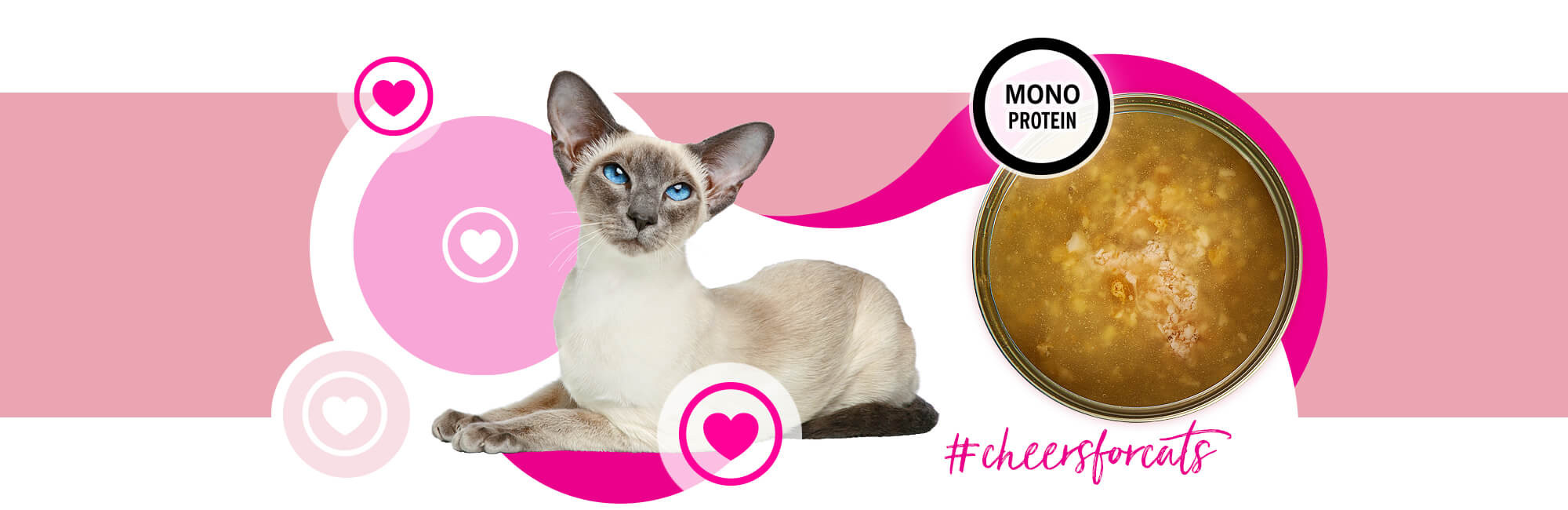 3COTY Cheers! 62. Turkey - nassfutter für Katzen - 160g - foto 1