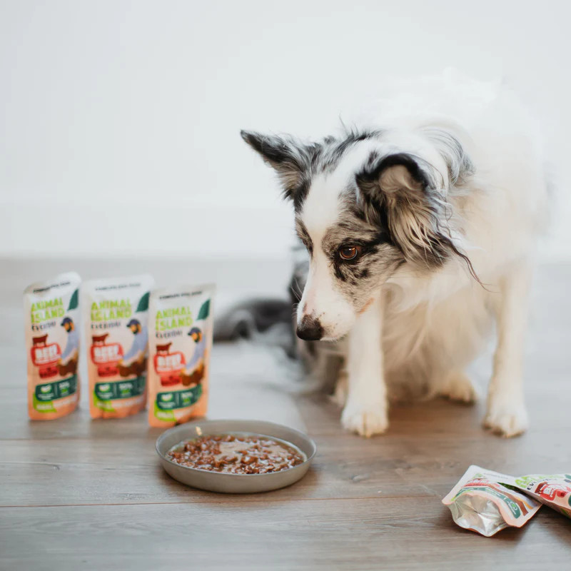 ANIMAL ISLAND Beef Fillets in broth - Nassfutter für Hunde - 10x150g - foto 2