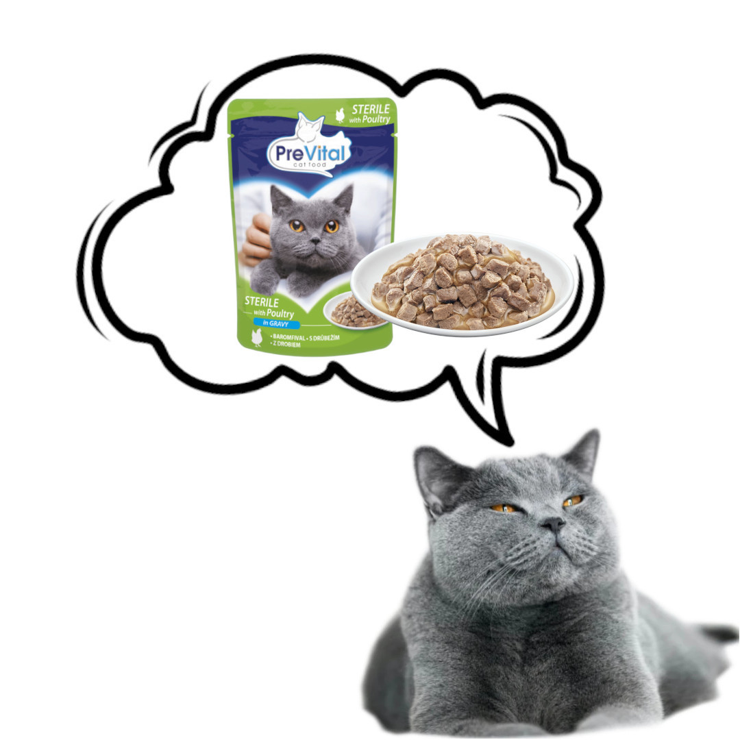 PREVITAL Cat Food Sterile Geflügel in Sauce - Nassfutter für Katzen - Beutel 100 g - foto 2