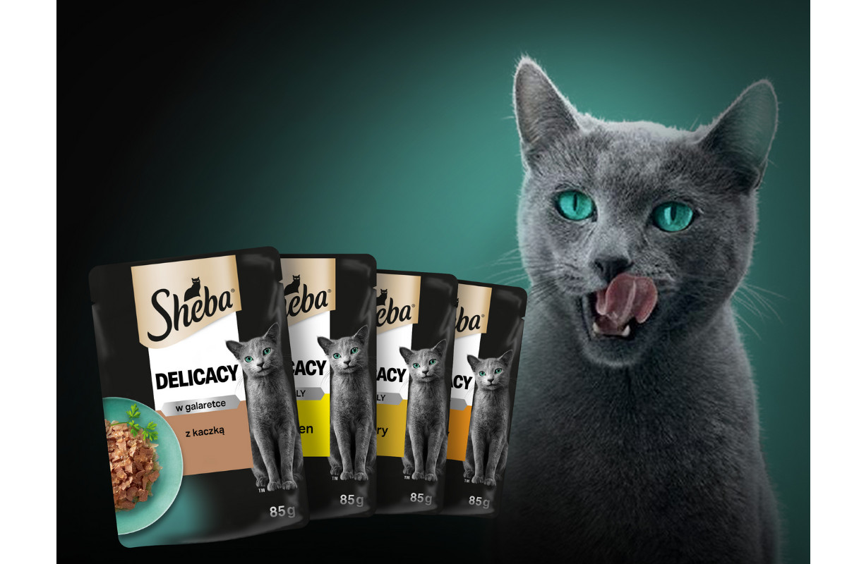 SHEBA Delicacy Geflügelgeschmack in Gelee - Katzennassfutter - 80x 85 g - foto 3