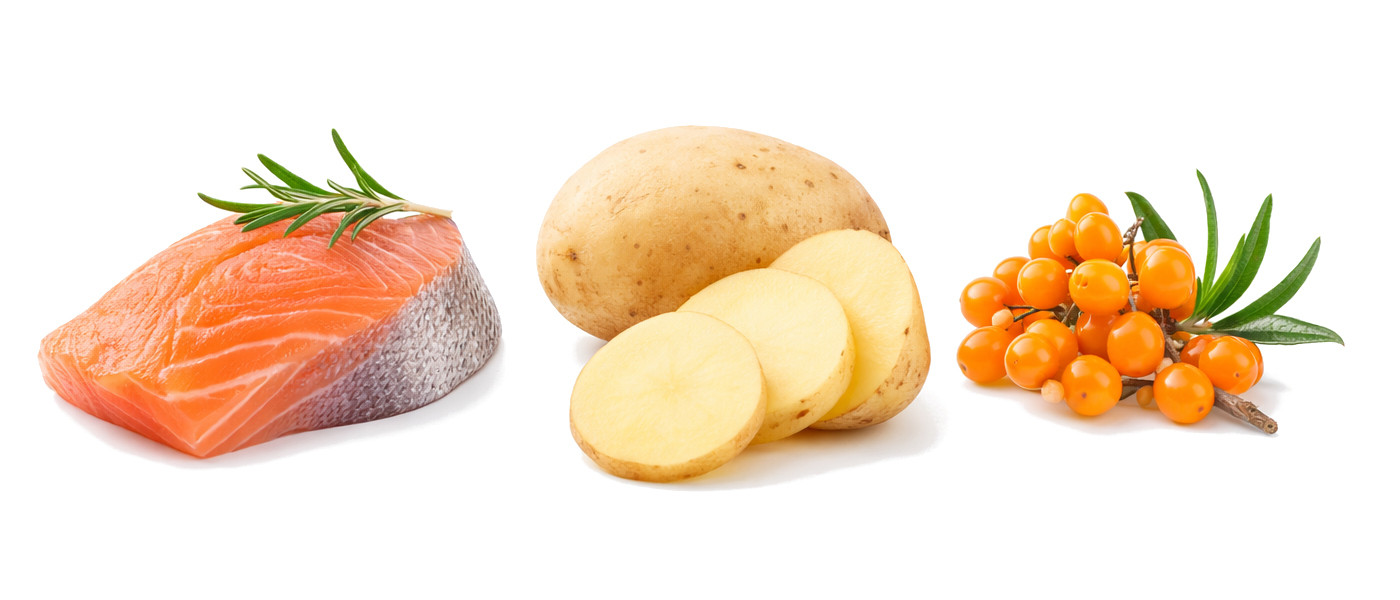 BRIT Care Senior&Light Salmon - Trockenfutter für Hunde - 3 kg - foto 2