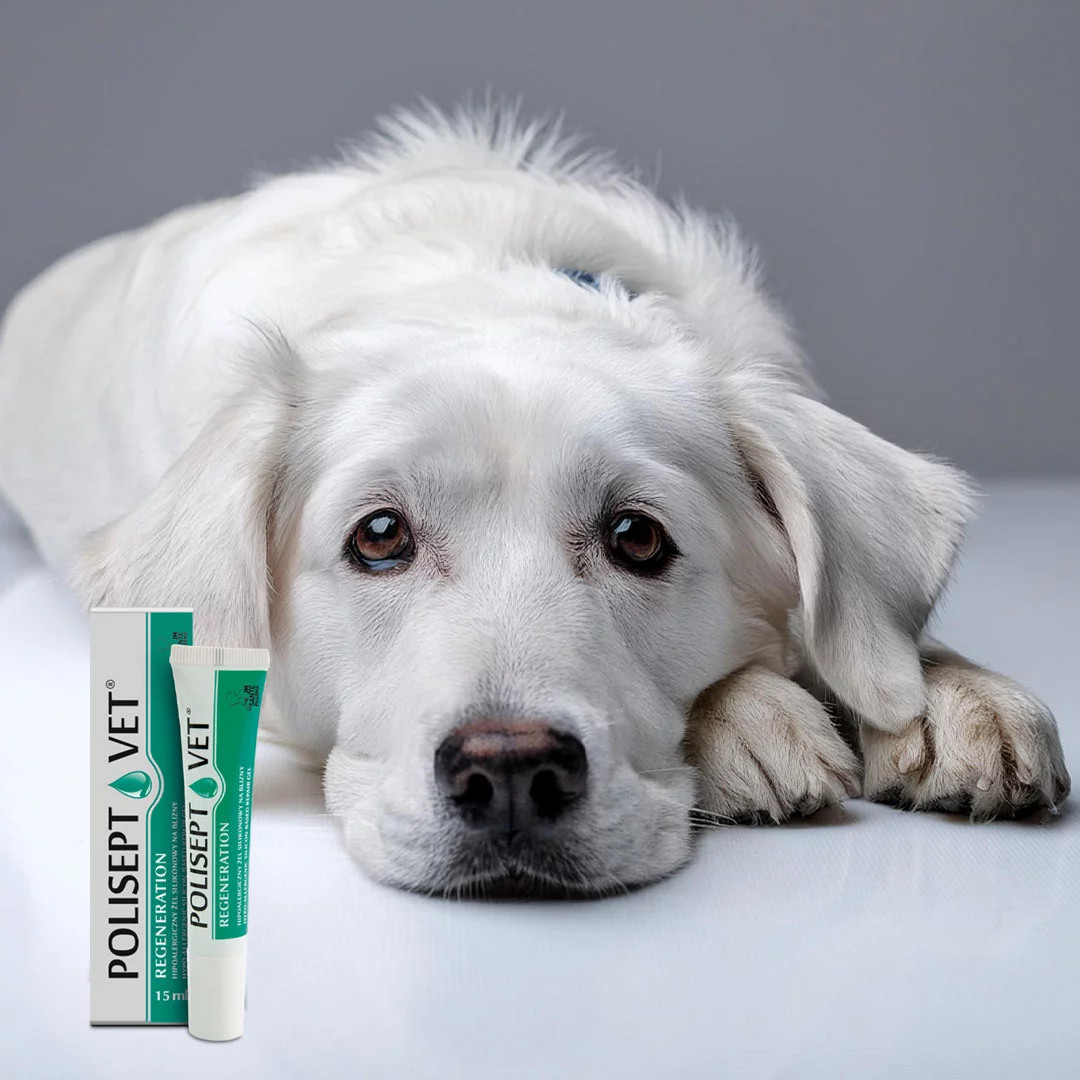 JM SANTE Polisept Vet Regeneration - schutzgel für hunde und katzen – 15 ml - foto 1