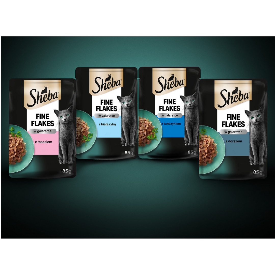 SHEBA Delicacy Fischgeschmack in Gelee - Katzennassfutter - 80x 85g - foto 3