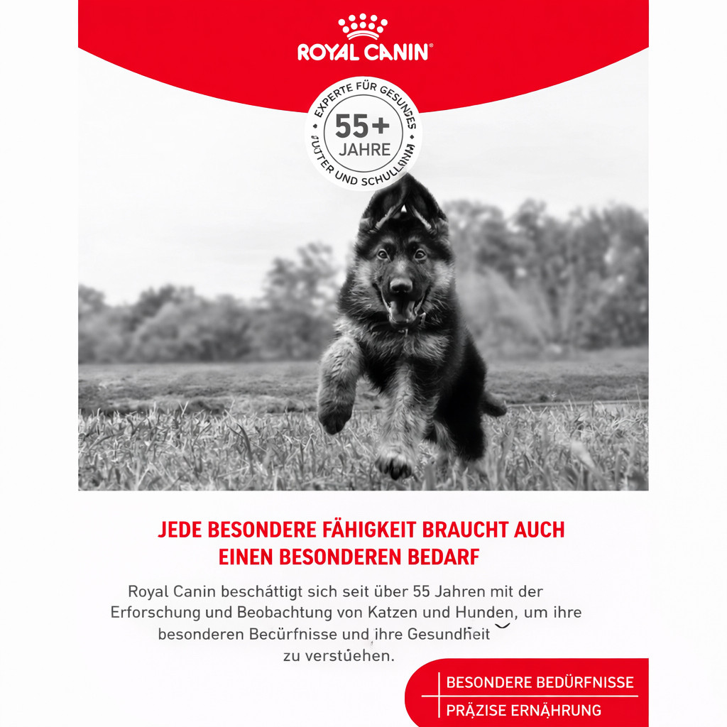 ROYAL CANIN Training Treats – Belohnungsleckerlis für Hunde zur Unterstützung des Trainings - 110 g - foto 7