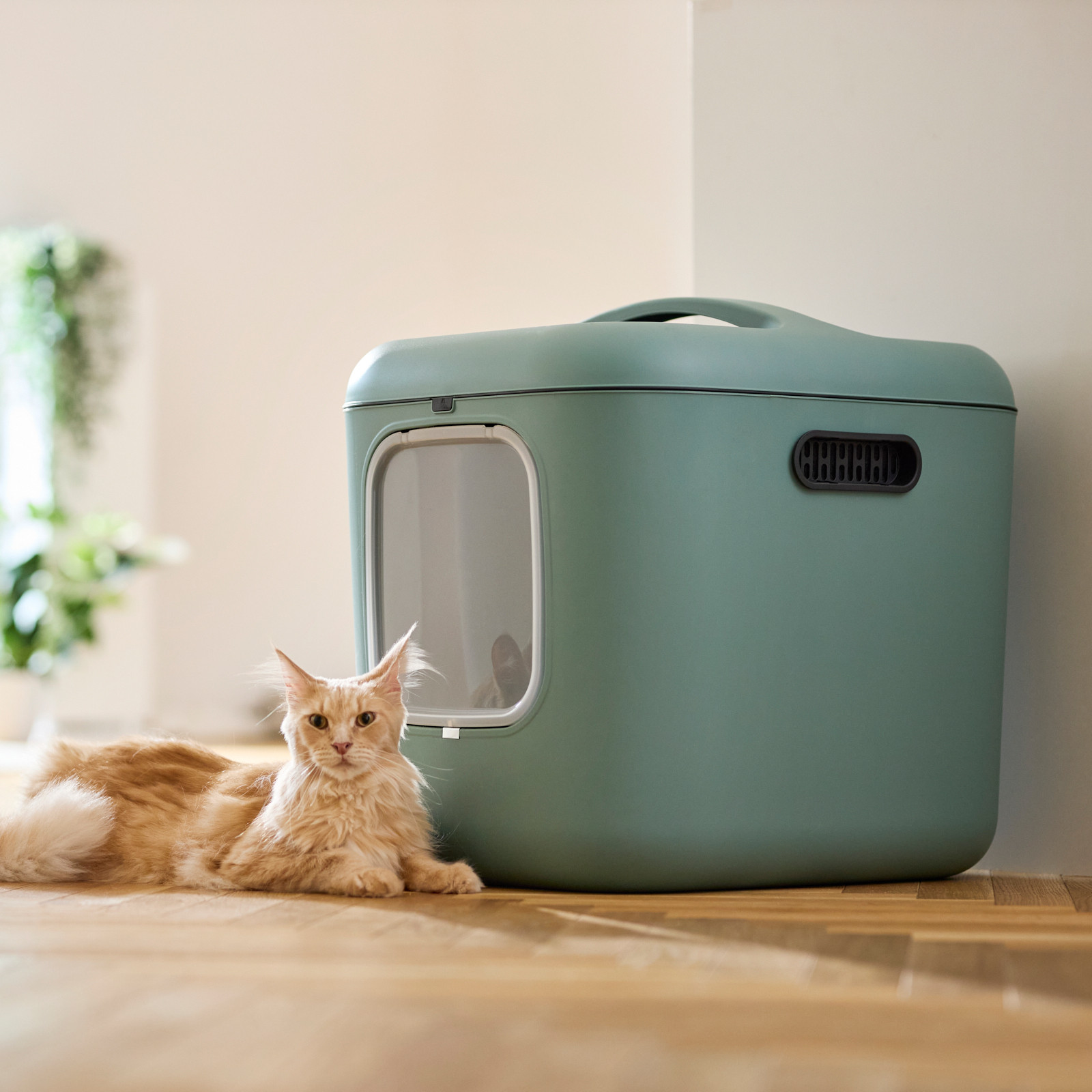 ROTHO Biala XL green - Katzentoilette - foto 1