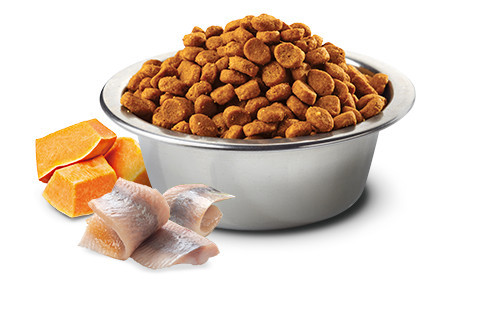 FARMINA N&D Ocean Herring Pumpkin&Orange Adult - Trockenfutter für Katzen - 1,5 kg - foto 3