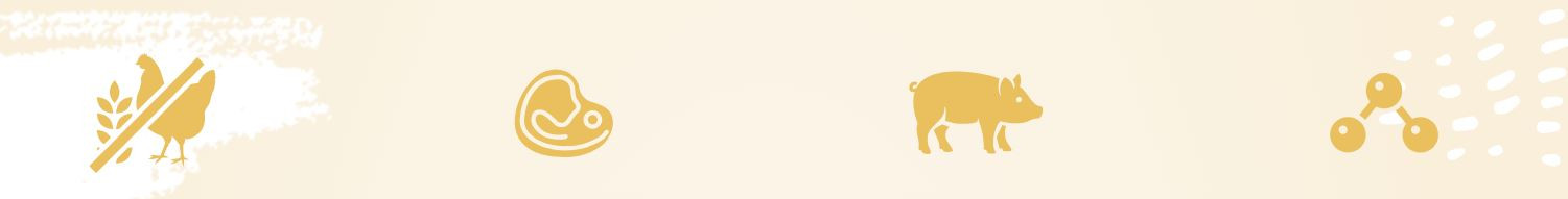 EUPHORIA Fresh Adult Pork with goose XS/S - trockenfutter für Hunde - 500g - foto 1