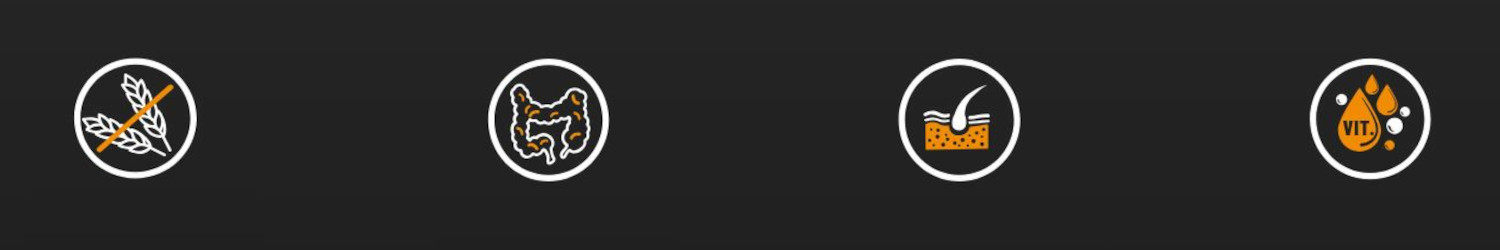 BIOFEED Tasty Dogs Life Junior Duck - Nassfutter für Hunde - 500g - foto 1